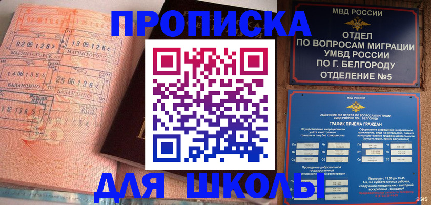 прописка иностранных граждан в Вязьме